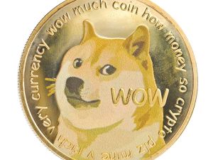 Super duper Doge 2026 FR Rubrik